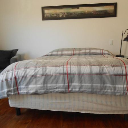 Terraza & Loft San Angel Daire Meksika Dış mekan fotoğraf