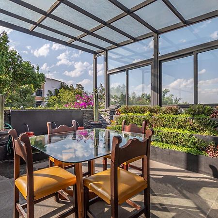 Terraza & Loft San Angel Daire Meksika Dış mekan fotoğraf