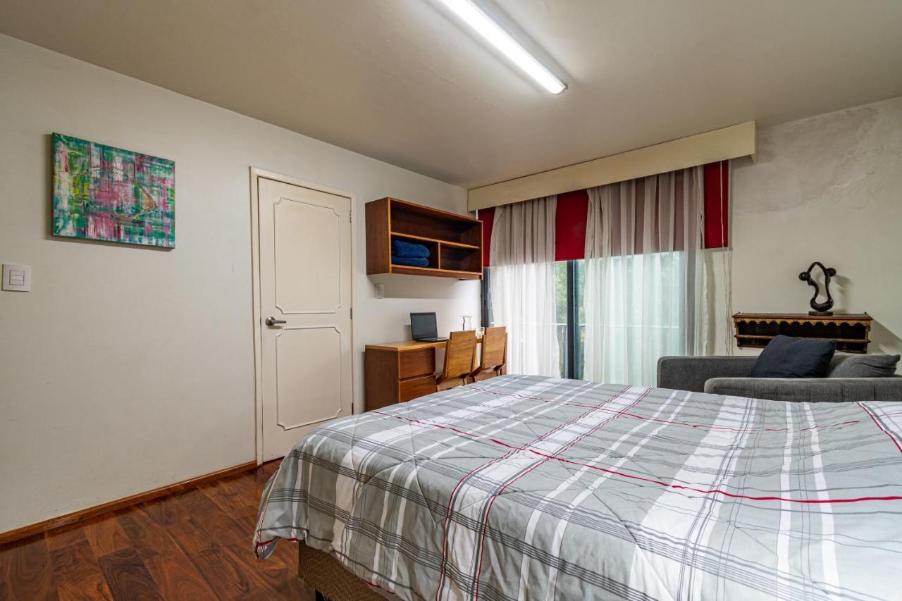 Terraza & Loft San Angel Daire Meksika Dış mekan fotoğraf