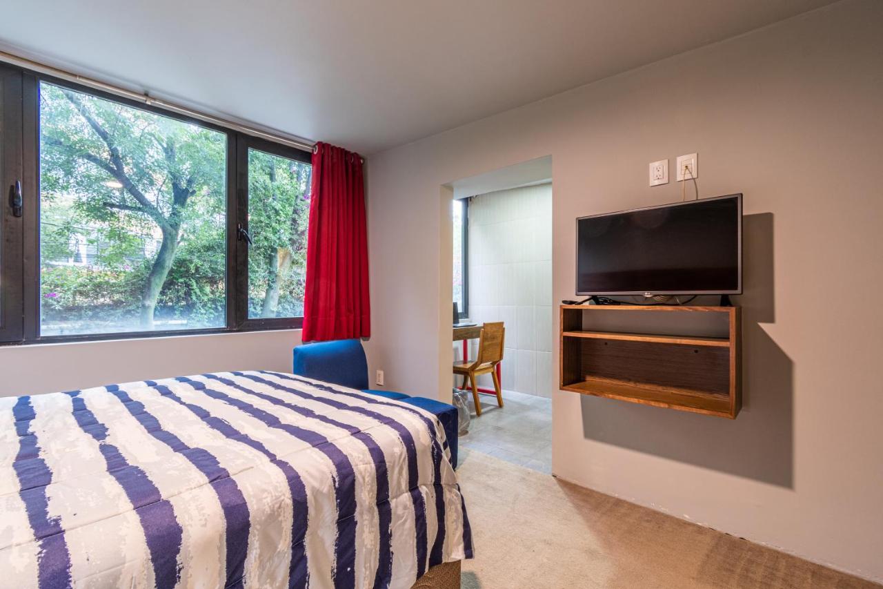 Terraza & Loft San Angel Daire Meksika Dış mekan fotoğraf