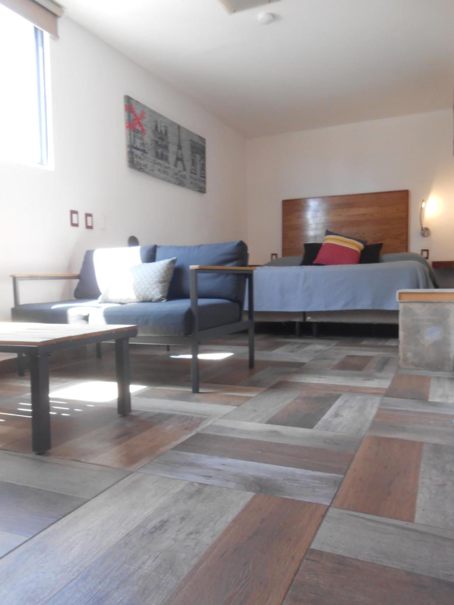 Terraza & Loft San Angel Daire Meksika Dış mekan fotoğraf
