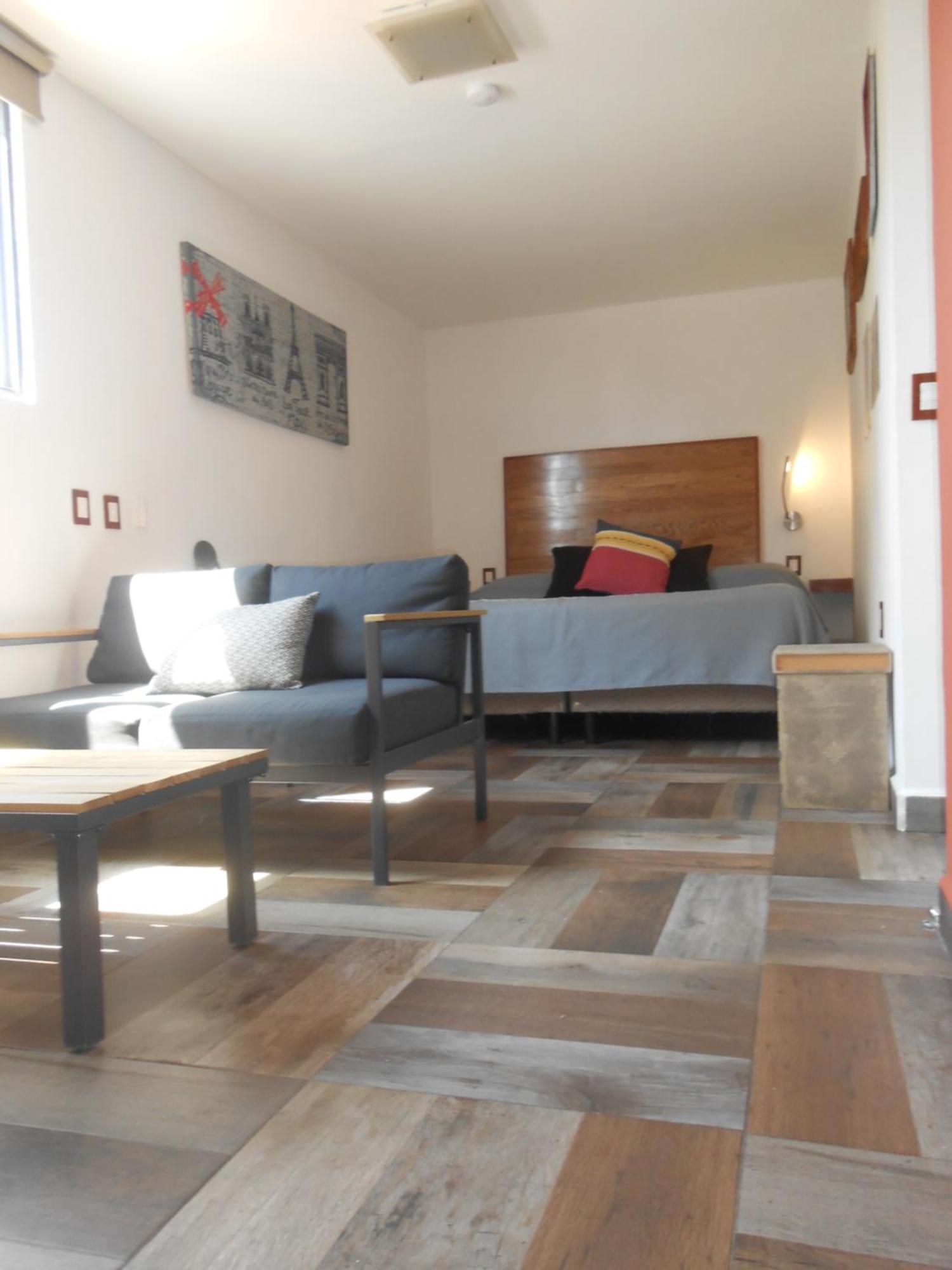 Terraza & Loft San Angel Daire Meksika Dış mekan fotoğraf