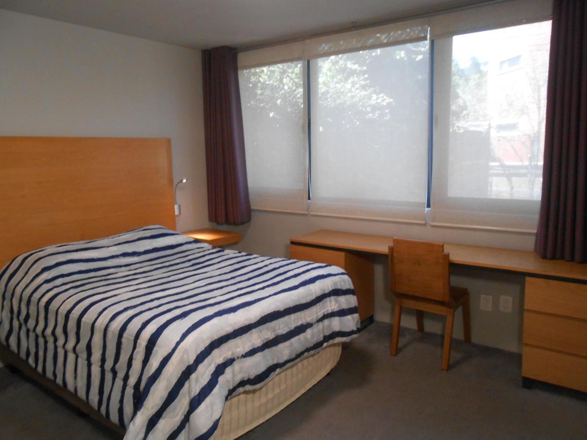Terraza & Loft San Angel Daire Meksika Dış mekan fotoğraf