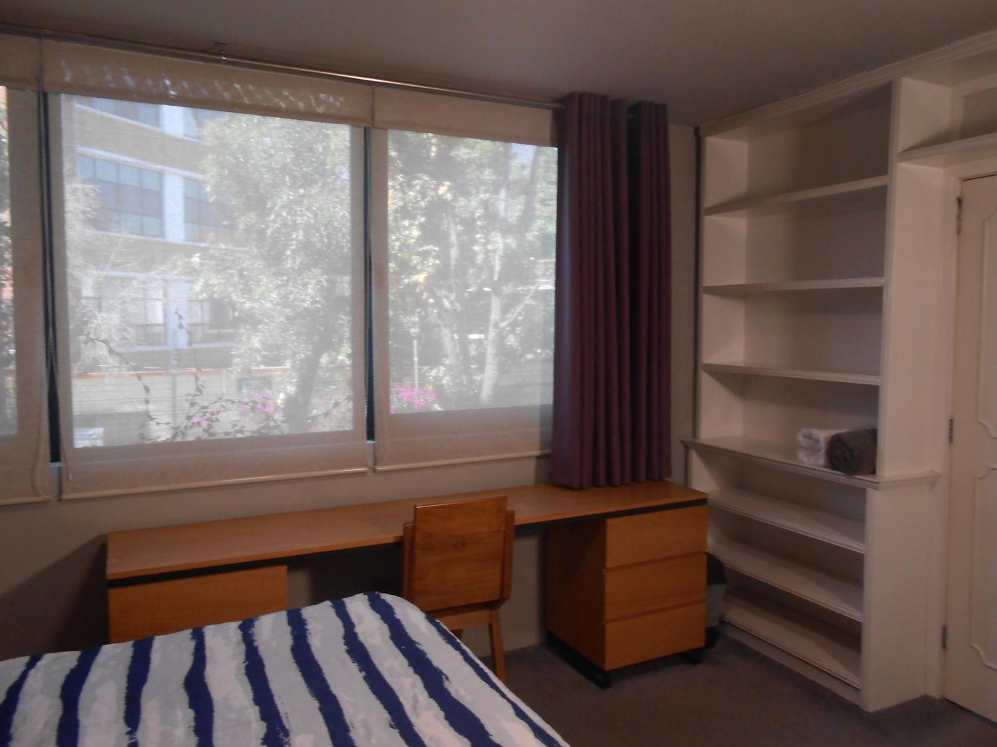 Terraza & Loft San Angel Daire Meksika Dış mekan fotoğraf