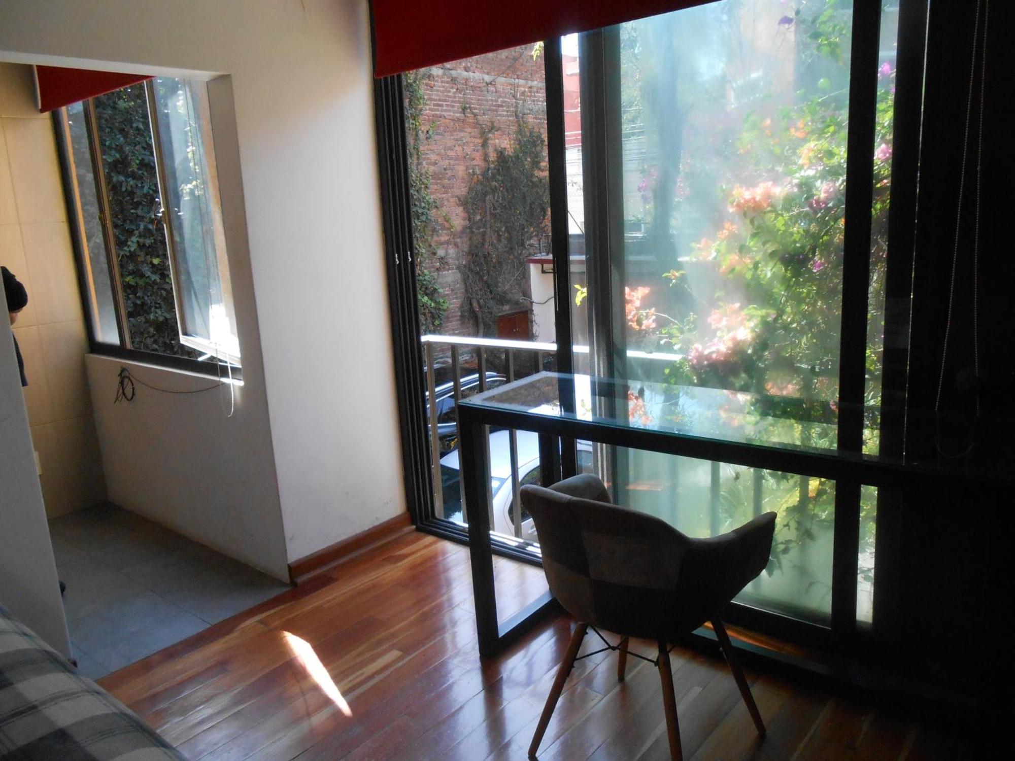 Terraza & Loft San Angel Daire Meksika Dış mekan fotoğraf