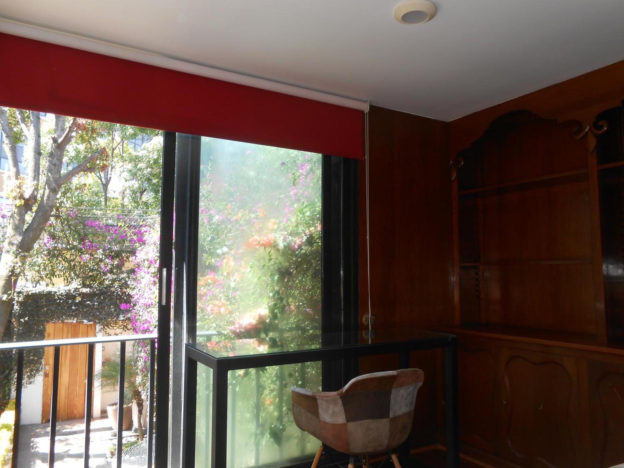 Terraza & Loft San Angel Daire Meksika Dış mekan fotoğraf