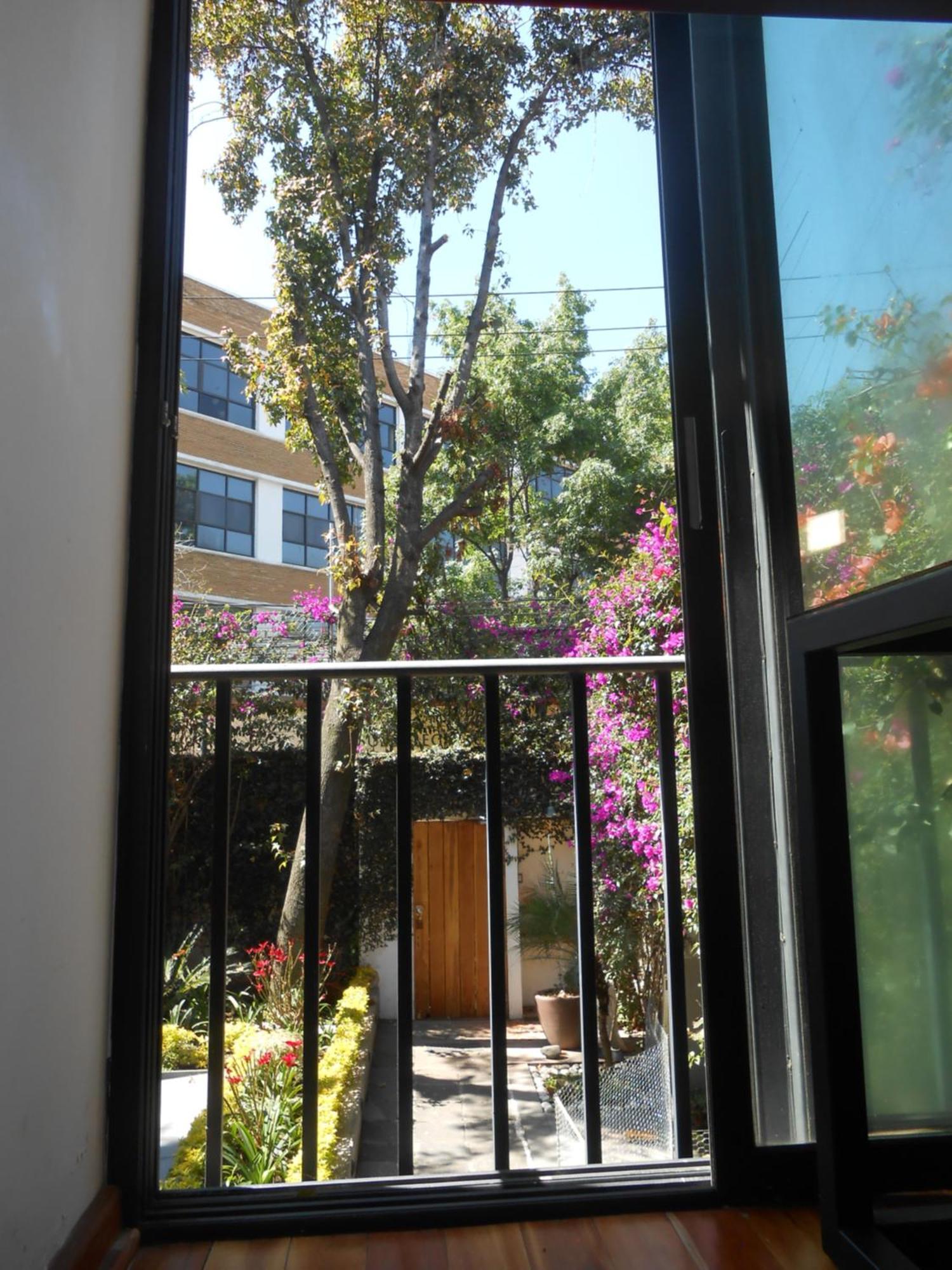 Terraza & Loft San Angel Daire Meksika Dış mekan fotoğraf
