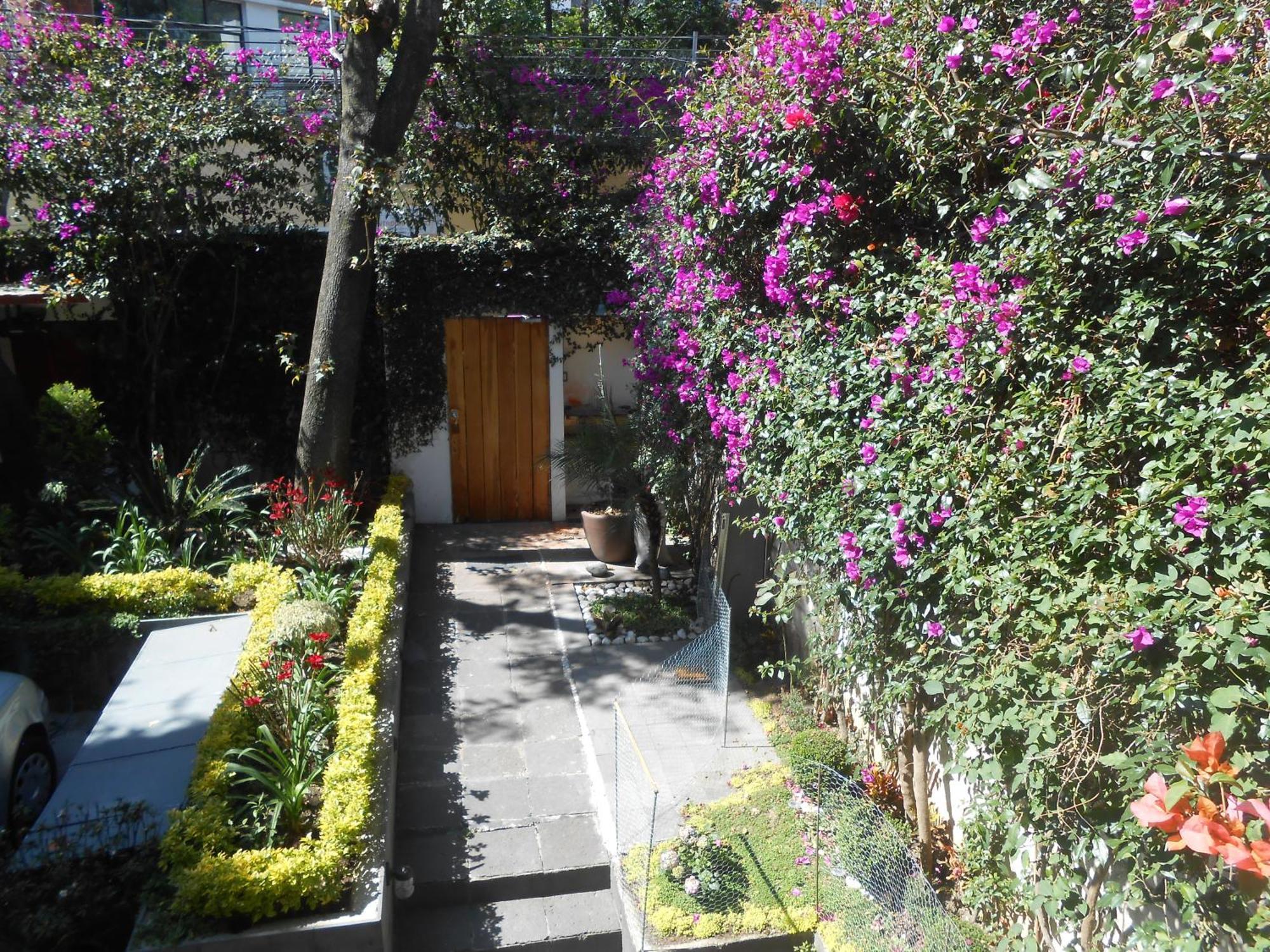 Terraza & Loft San Angel Daire Meksika Dış mekan fotoğraf