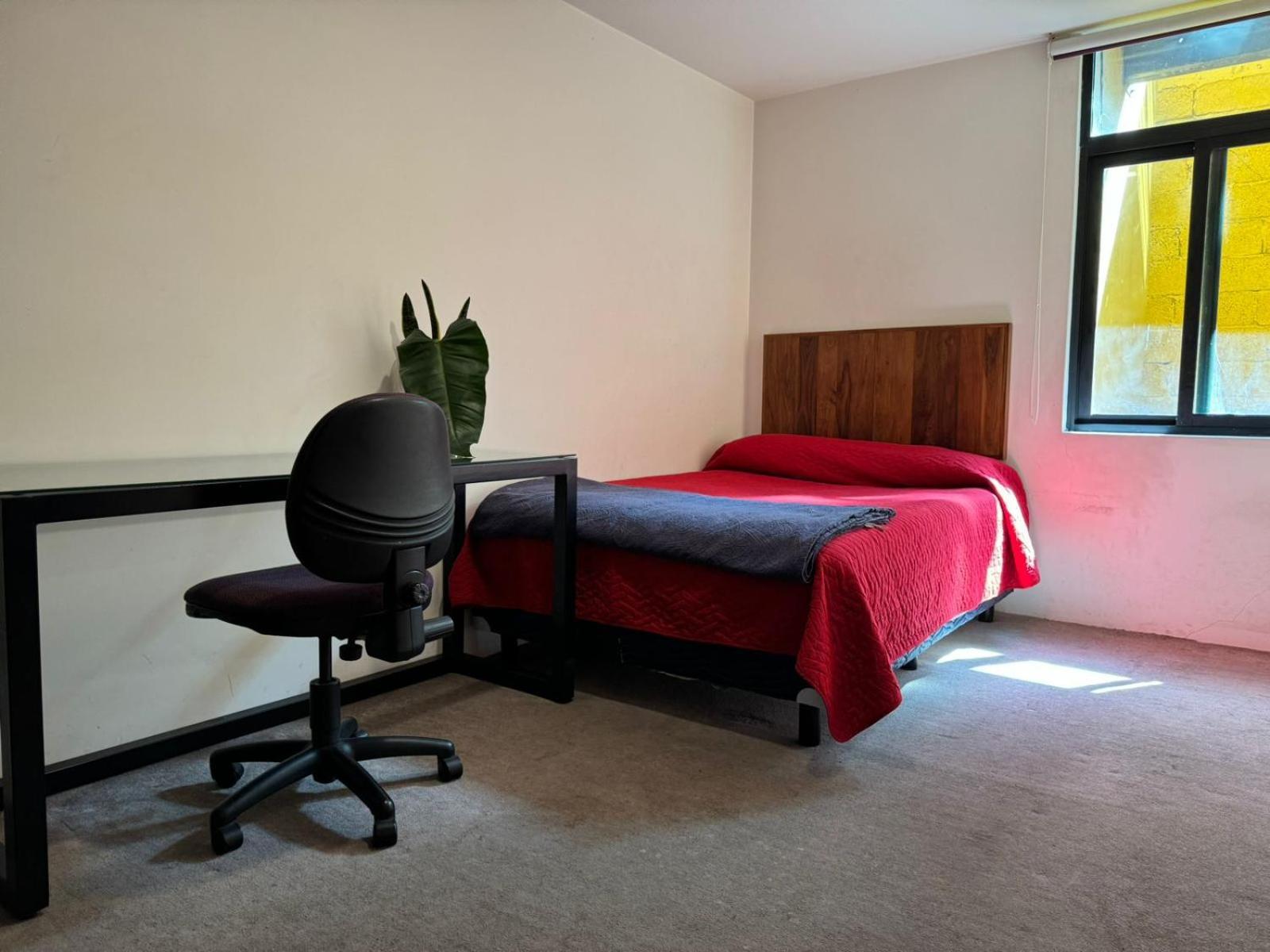 Terraza & Loft San Angel Daire Meksika Dış mekan fotoğraf