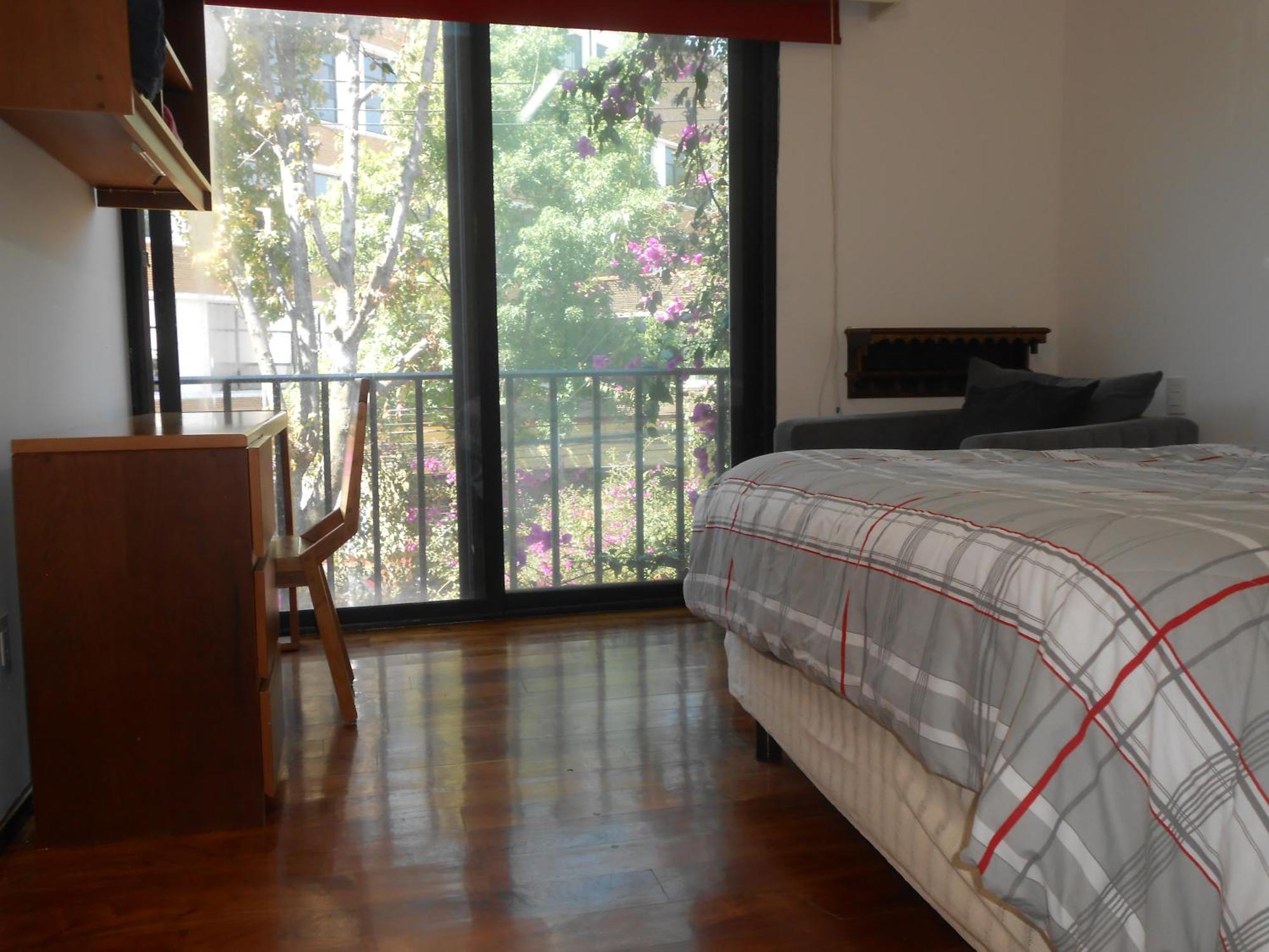 Terraza & Loft San Angel Daire Meksika Dış mekan fotoğraf
