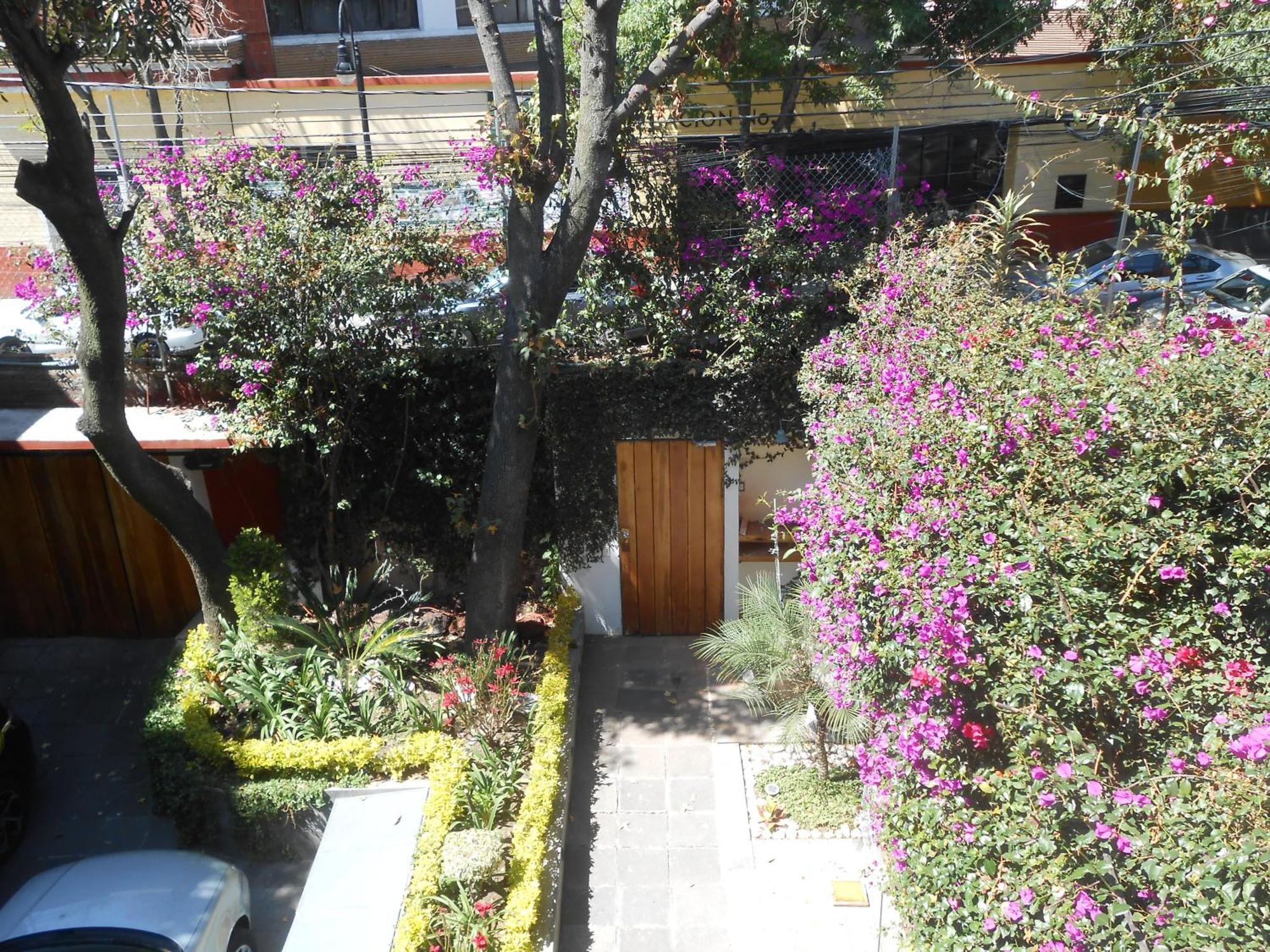 Terraza & Loft San Angel Daire Meksika Dış mekan fotoğraf