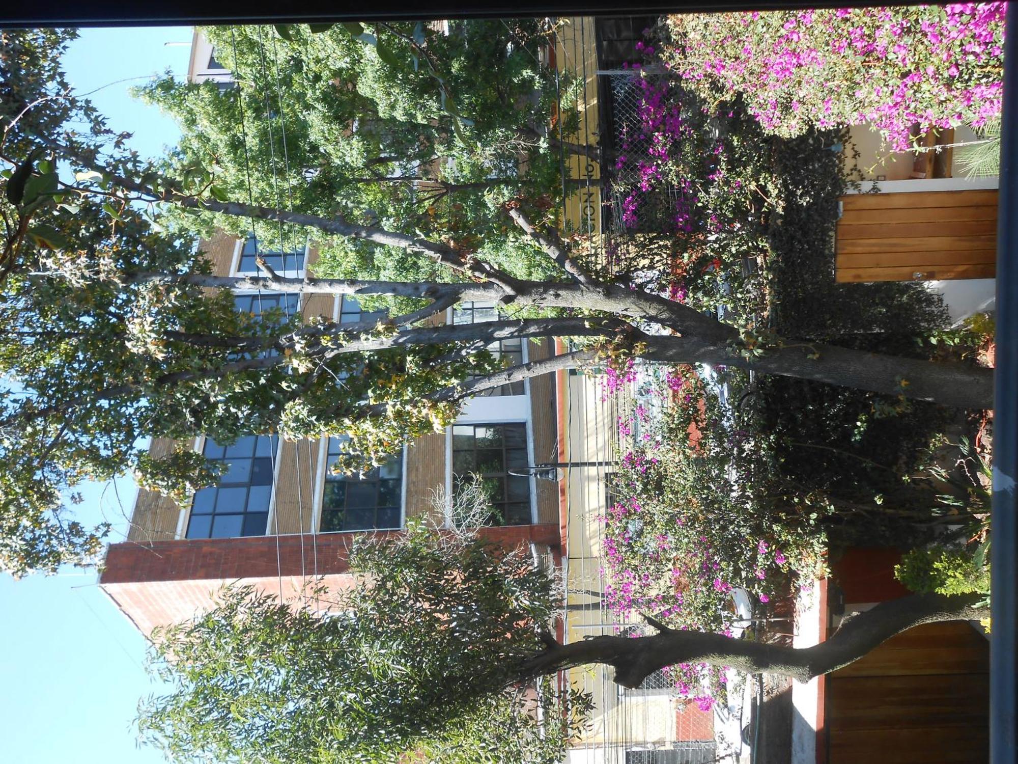 Terraza & Loft San Angel Daire Meksika Dış mekan fotoğraf