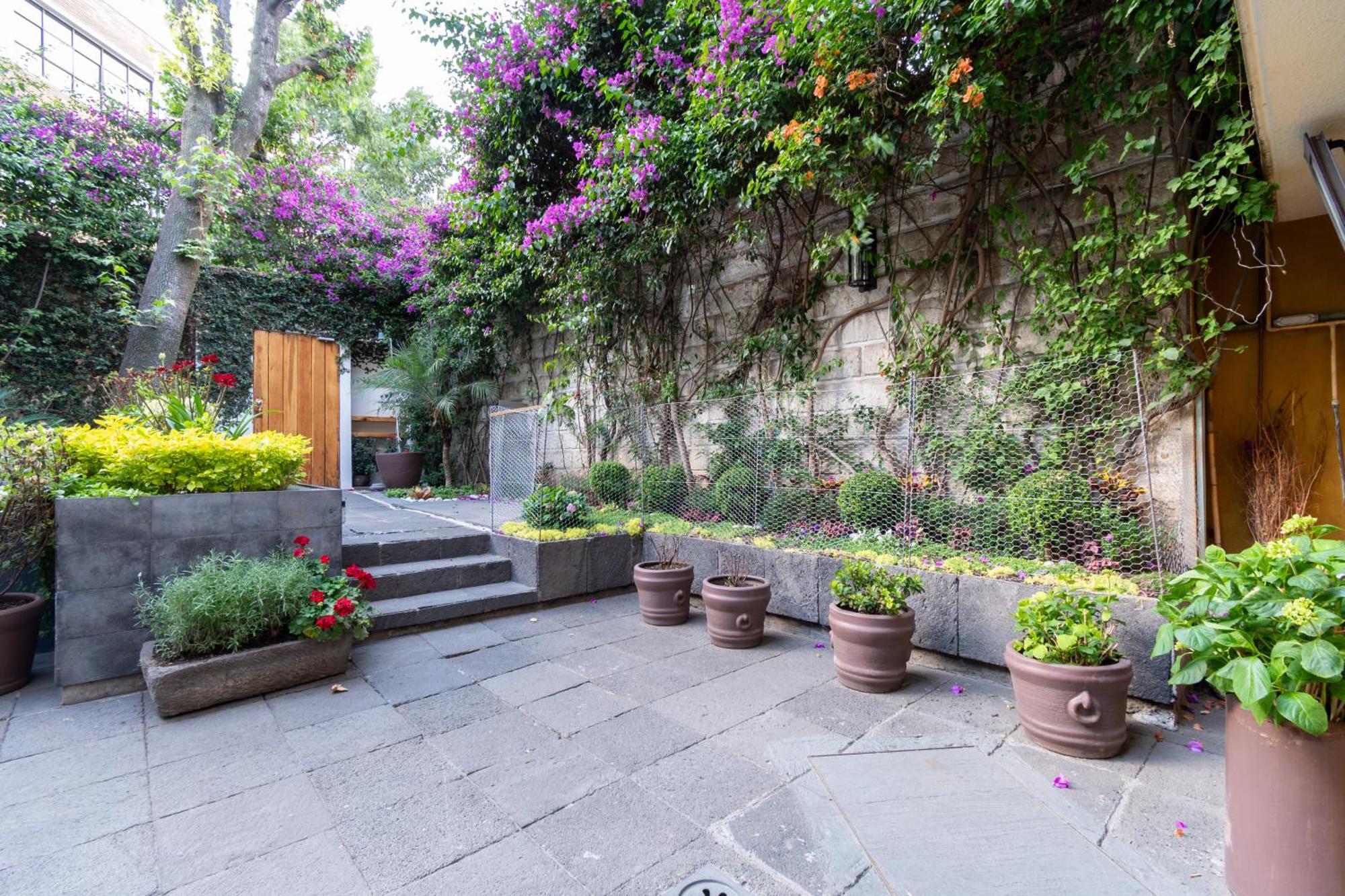Terraza & Loft San Angel Daire Meksika Dış mekan fotoğraf