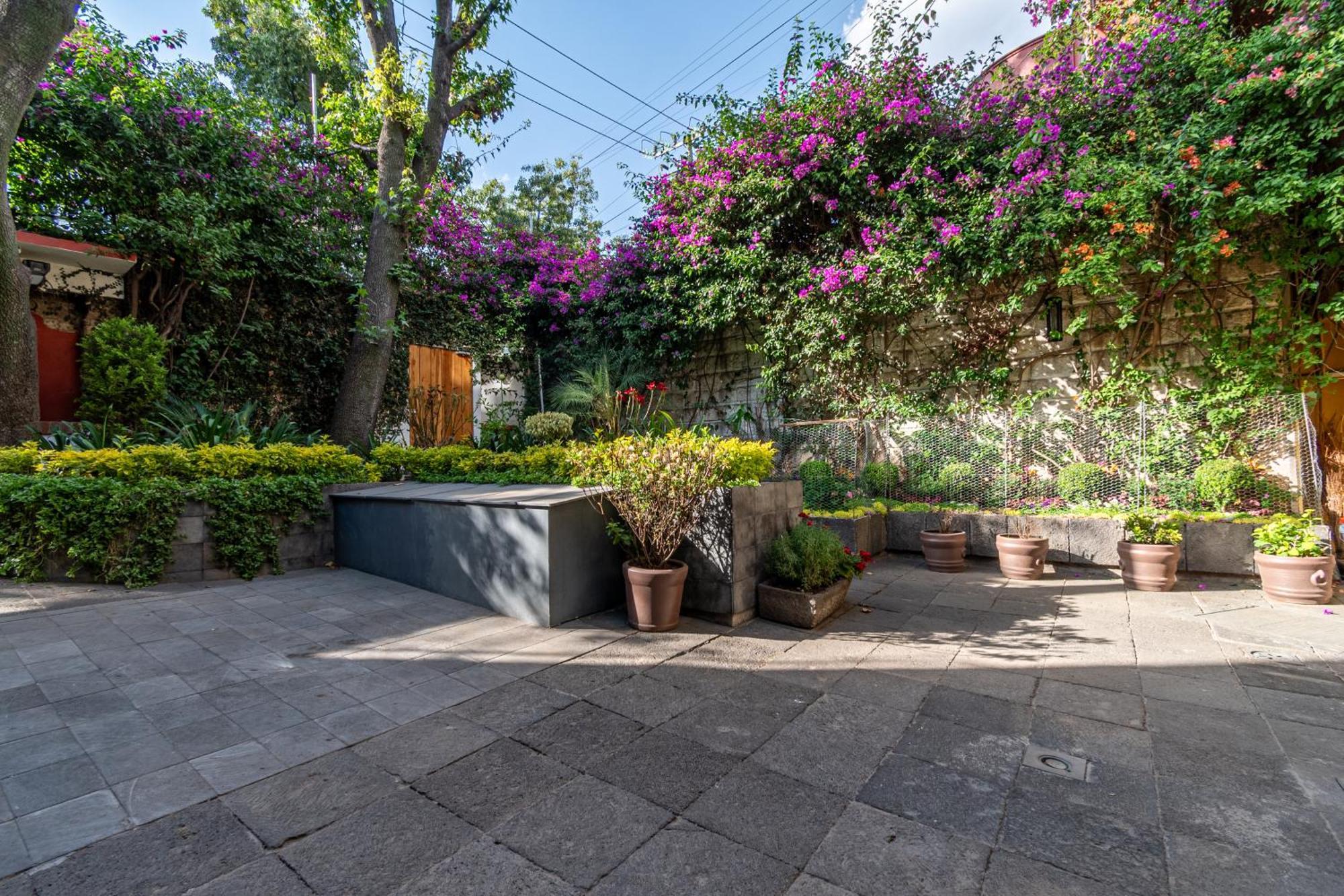 Terraza & Loft San Angel Daire Meksika Dış mekan fotoğraf