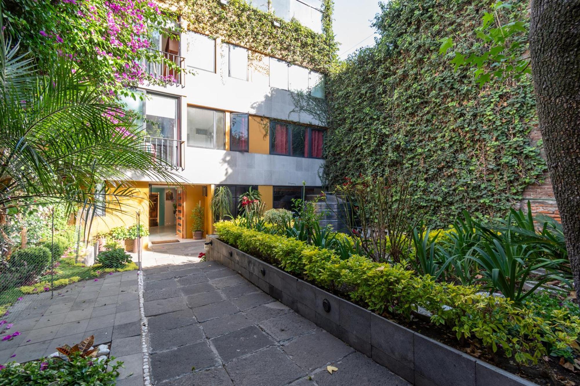 Terraza & Loft San Angel Daire Meksika Dış mekan fotoğraf