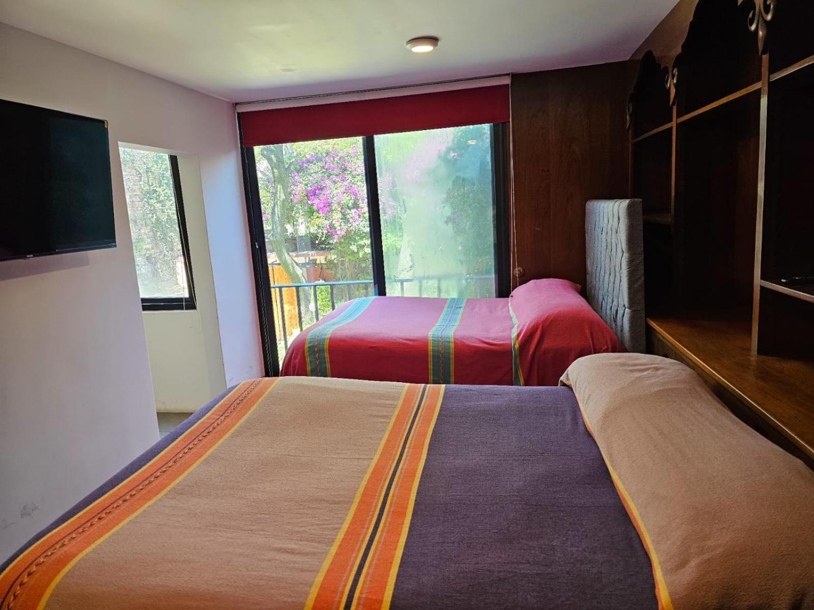 Terraza & Loft San Angel Daire Meksika Dış mekan fotoğraf