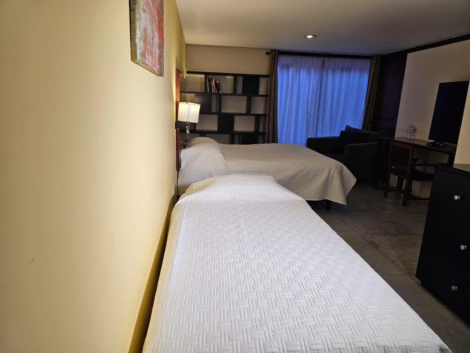 Terraza & Loft San Angel Daire Meksika Dış mekan fotoğraf
