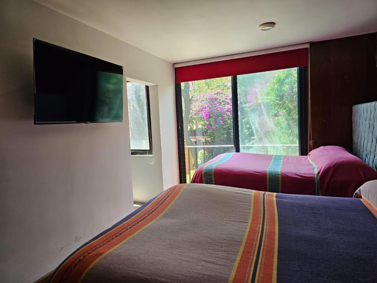 Terraza & Loft San Angel Daire Meksika Dış mekan fotoğraf