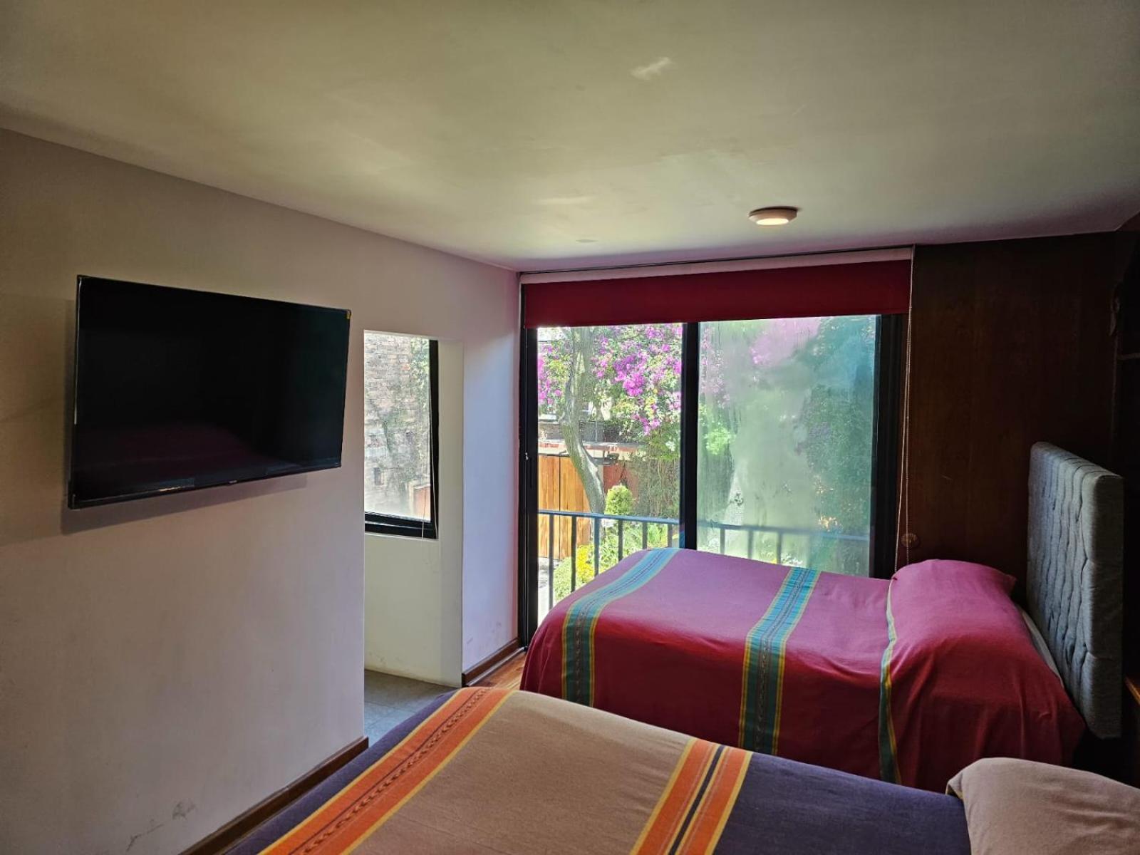Terraza & Loft San Angel Daire Meksika Dış mekan fotoğraf