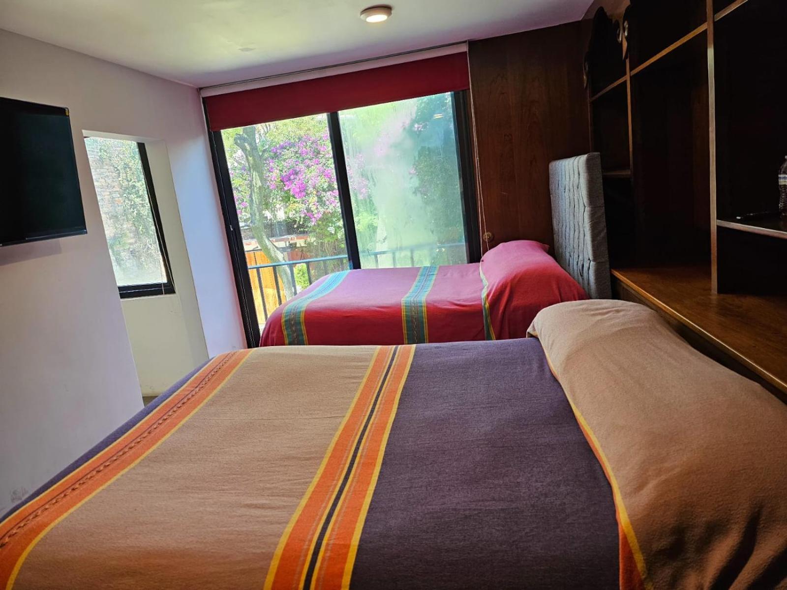 Terraza & Loft San Angel Daire Meksika Dış mekan fotoğraf