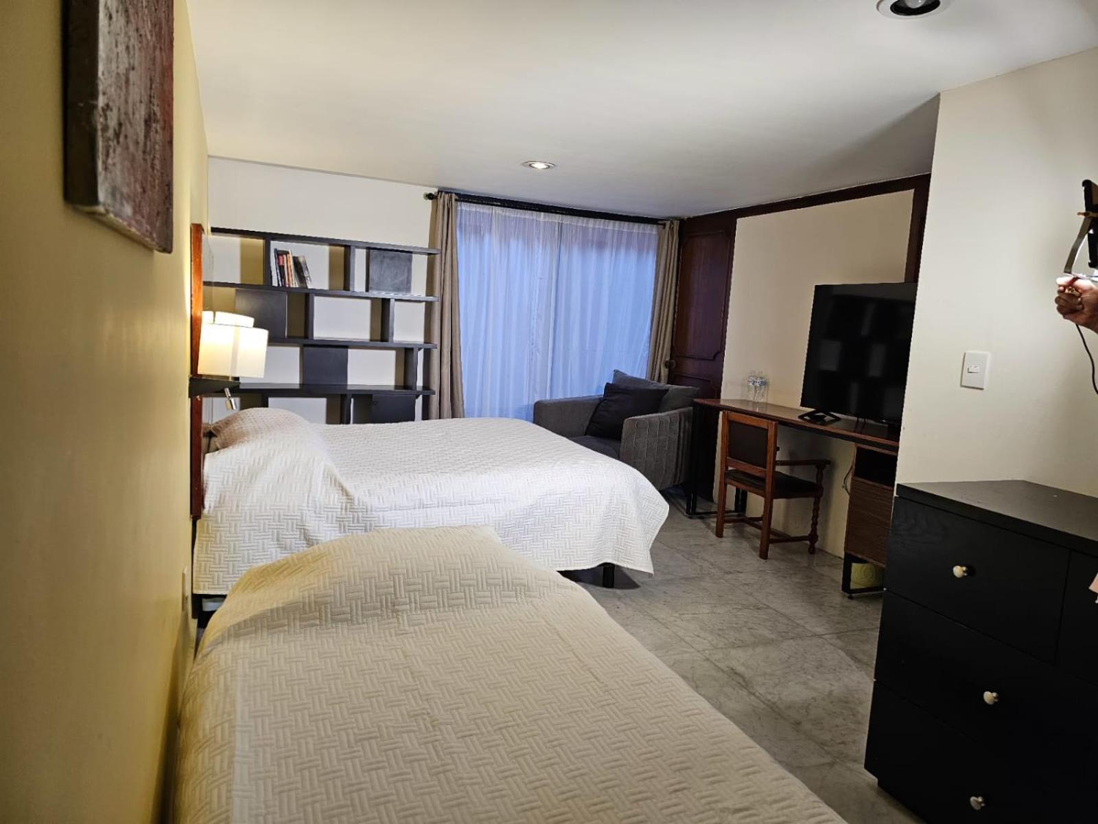 Terraza & Loft San Angel Daire Meksika Dış mekan fotoğraf